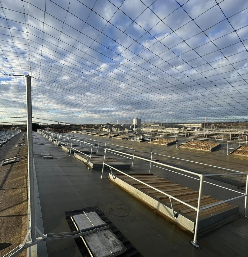 Seagull control netting on a commercial property