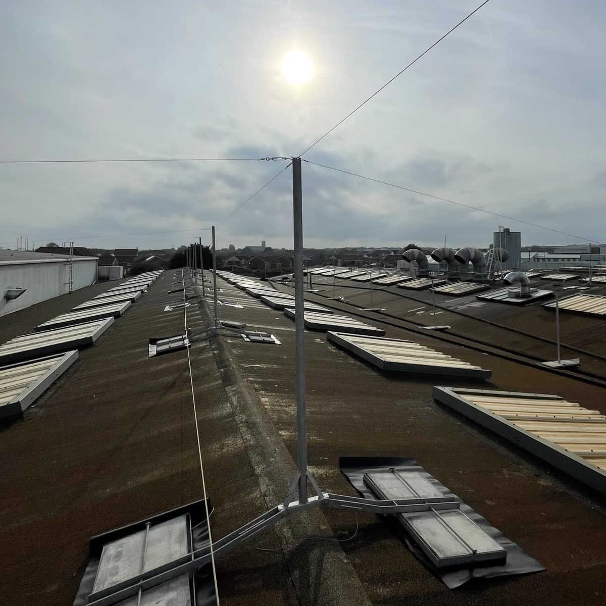 Bird wire system on a building