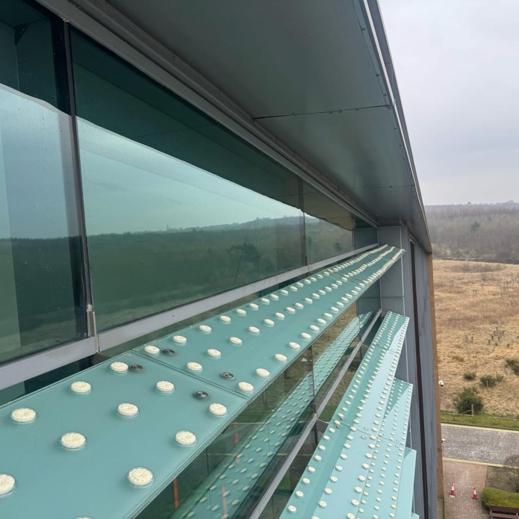 Bird free gel on the side of a commercial building 