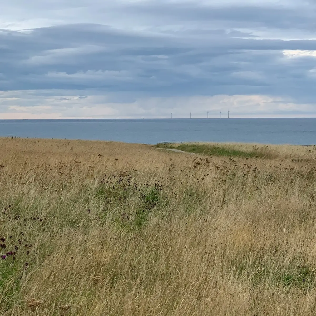 A view of South Shields